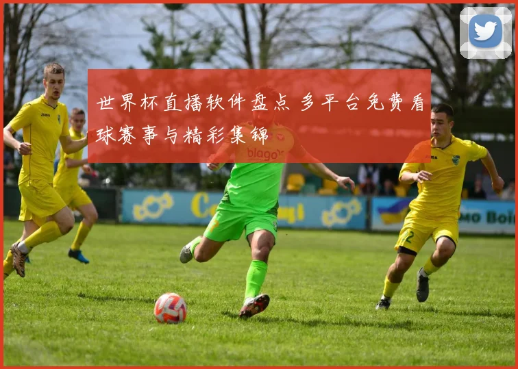 世界杯直播软件盘点 多平台免费看球赛事与精彩集锦