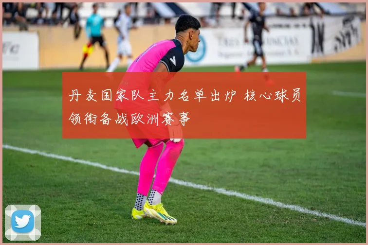 丹麦国家队主力名单出炉 核心球员领衔备战欧洲赛事