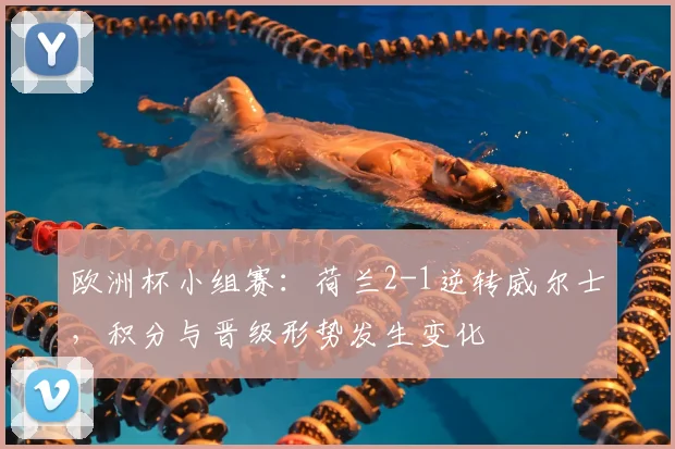 欧洲杯小组赛:荷兰2-1逆转威尔士,积分与晋级形势发生变化