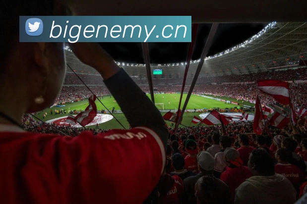 开云官方登陆入口平台生态图