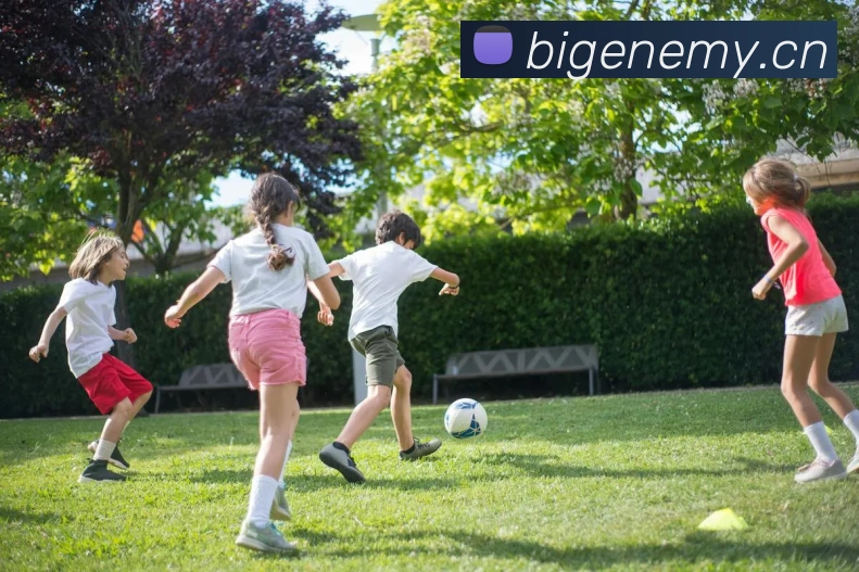 辅助工具 辅助工具